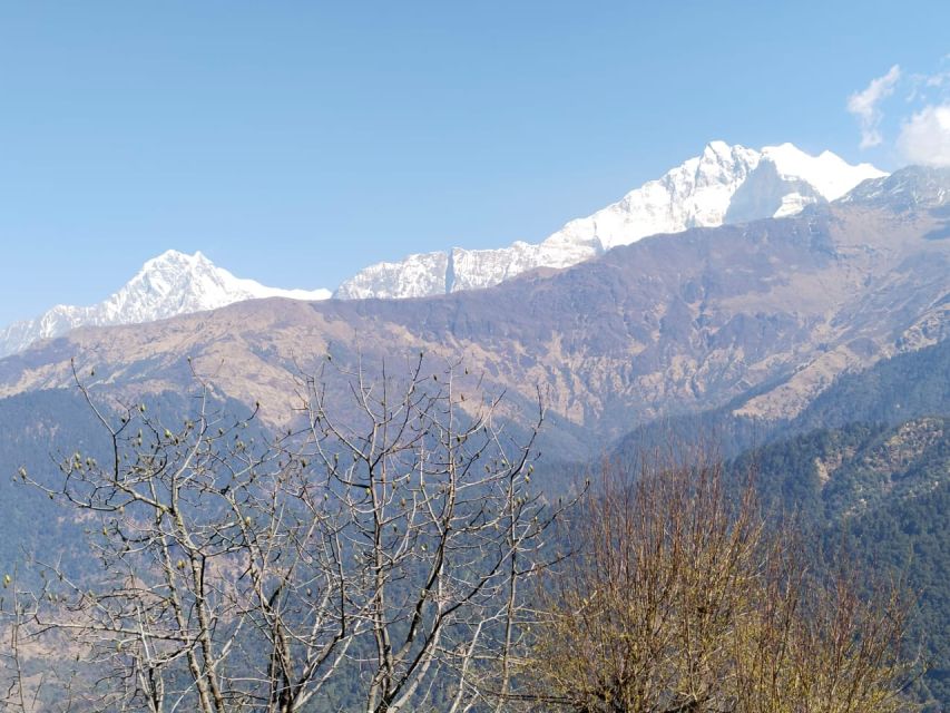From Pokhara: 4-Day Annapurna and Poon Hill Himalayan Trek - Guide support and communication