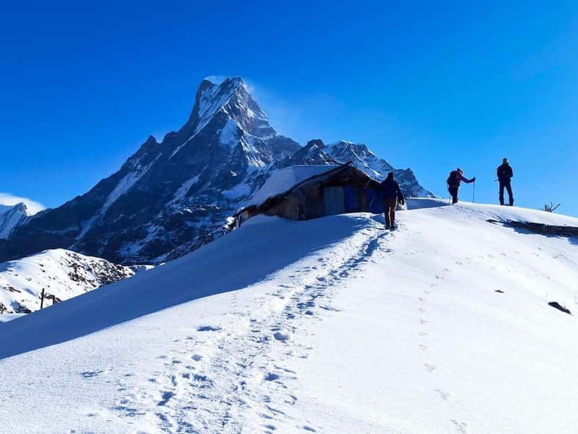 From Pokhara: 4-Day Mardi Himal Base Camp Trek - Key points to know before you book
