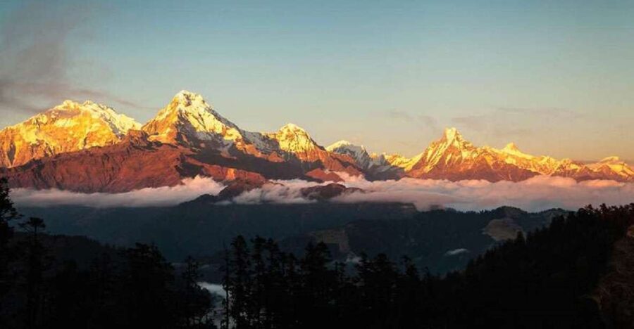 From Pokhara: 5-Day Annapurna Basecamp Trek with Hot Springs - Sinuwa to Deurali through forest country