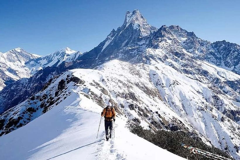 From Pokhara: 5-Day Mardi Himal Base Camp Trek - Day two: rhododendron woods and Mardi Himal Low Camp