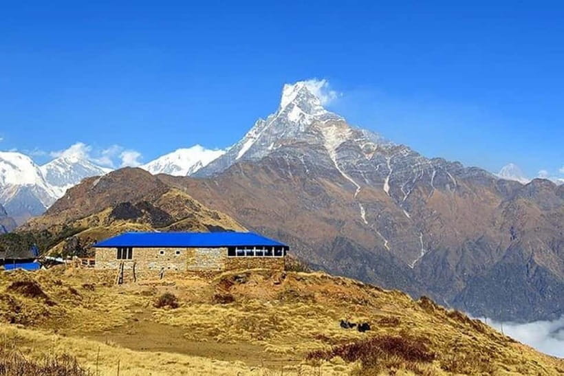 From Pokhara: 5-Day Mardi Himal Base Camp Trek - Tea houses, meals, and what $181 really covers