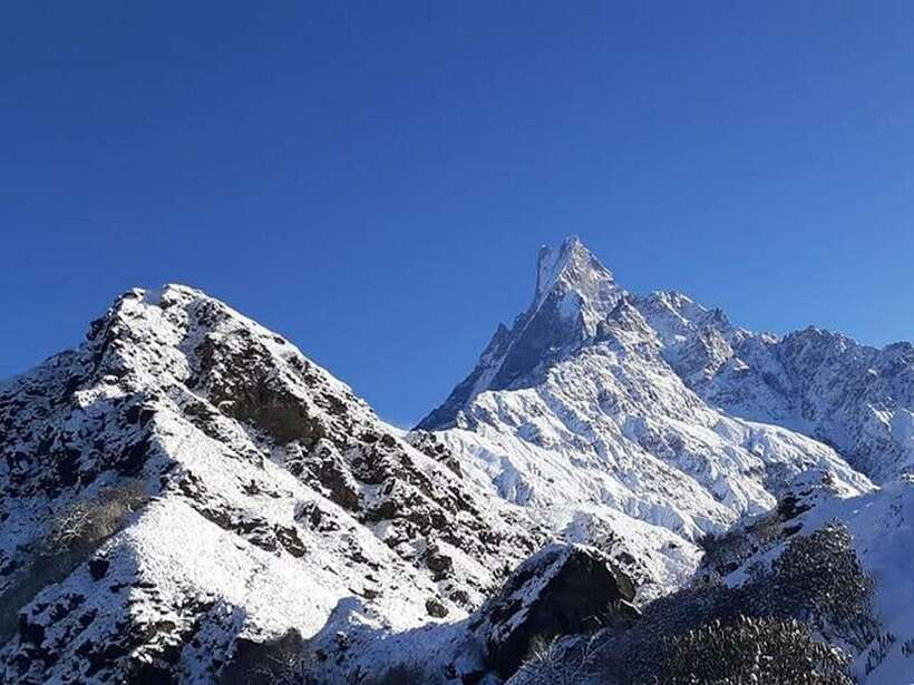From Pokhara: 5-Day Mardi Himal Base Camp Trek - Guides, pace, and the private-group advantage