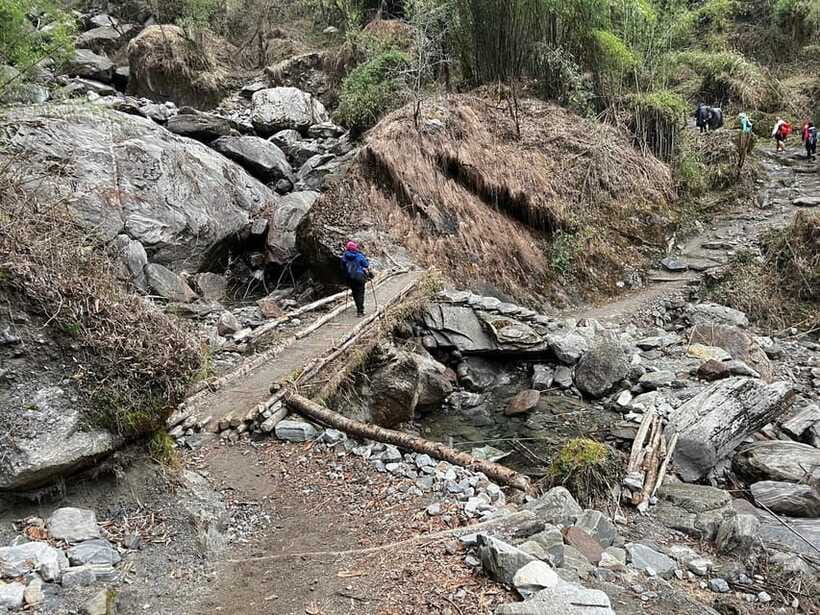 From Pokhara: 7-Day Annapurna Base Camp Trek - Day Five: The Knee-Test to Bamboo