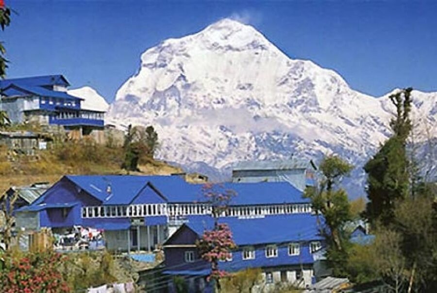 From Pokhara 7 Days (ABC) Trek With Poon Hill Sunrise - What makes this seven-day trek worth considering