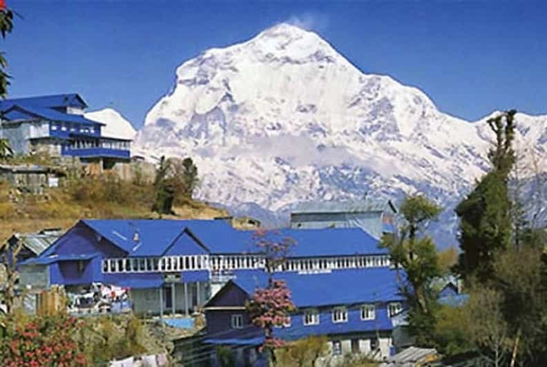 From Pokhara 7 Days (ABC) Trek With Poon Hill Sunrise - Day 2: Poon Hill sunrise, then the forest trail to Tadapani or Ghandruk