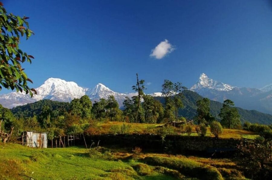 From Pokhara 7 Days (ABC) Trek With Poon Hill Sunrise - Day 3: Ghandruk and Chhomrong bring village life into the trek