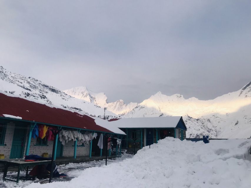 From Pokhara: 7 Days Budget backpackers group ABC Trek - Day 3: Sinuwa to Bamboo, Dovan, Himalaya, and Deurali