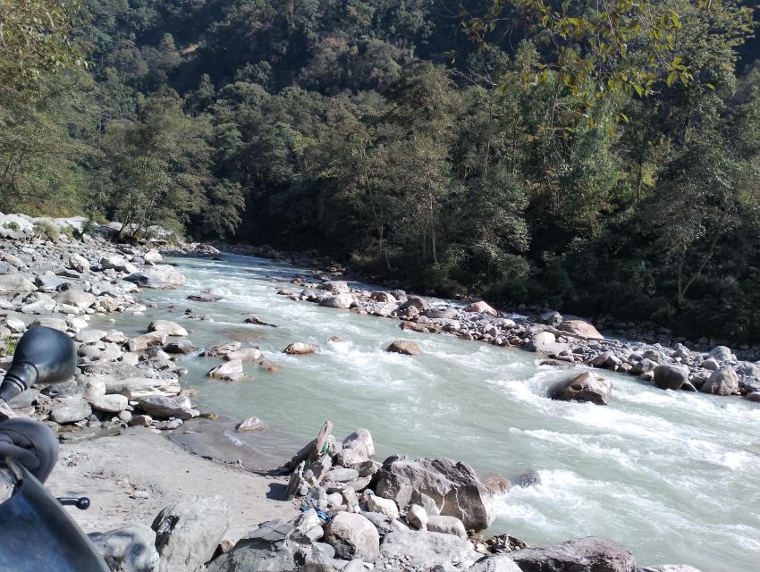 From Pokhara: 7 Days Budget backpackers group ABC Trek - Day 5: Sunrise at ABC and the long descent to Bamboo