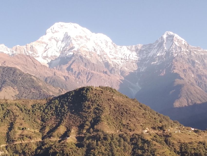 From Pokhara: 7 Days Budget backpackers group ABC Trek - Day 6: Bamboo to Sinuwa, Chhomrong, Jhinu, and Kyumi