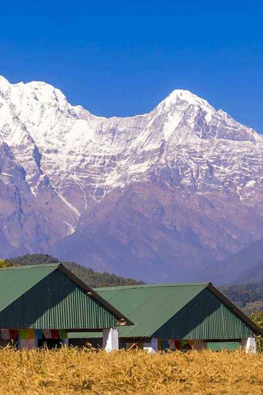 From Pokhara: Annapurna View Day Hike - Lunch with a Nepali touch