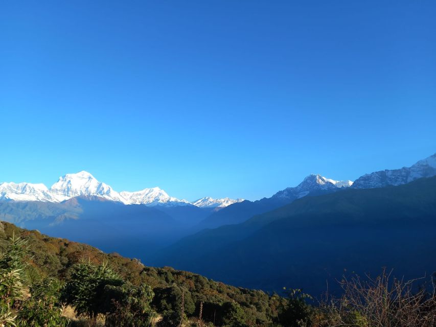 From Pokhara: Australian Camp & Dhampus 1, or 2-Day Trek - The 1-day route from Kande to Phedi
