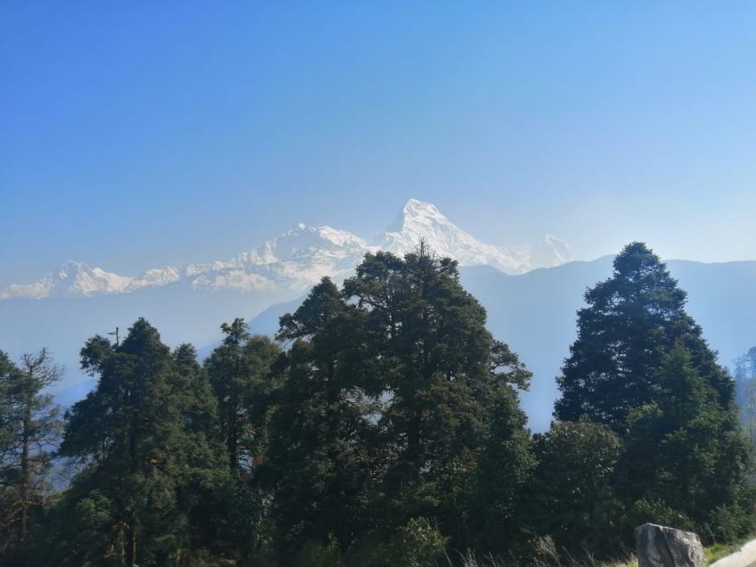 From Pokhara: Budget 2 Night 3 days Poon hill trek - Who should book this trek?