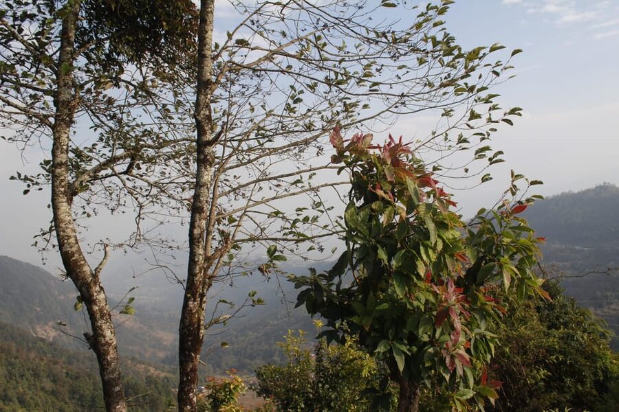 From Pokhara: Day Hiking Australian Camp & Dhampus - Walking from Australian Camp toward Dhampus