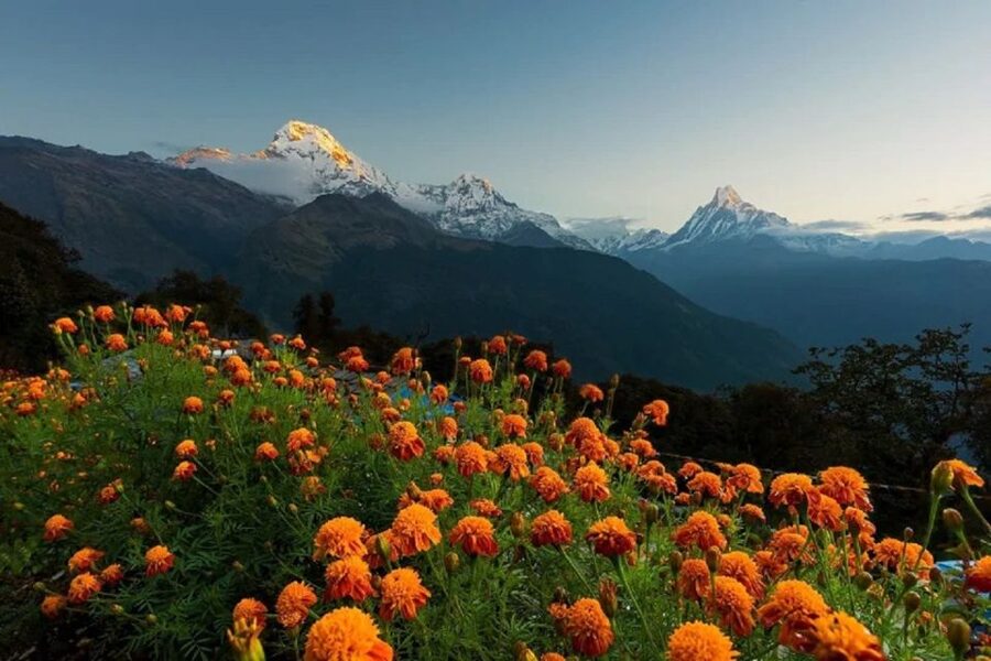 From Pokhara: Guided Tour to Visit 4 Himalayas View Point - What the private format really changes