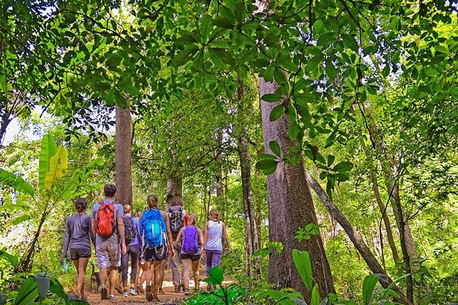 From Pokhara : Hiking to Peace Pagoda via Fewa Lake & Jungle - Reaching the White Peace Pagoda