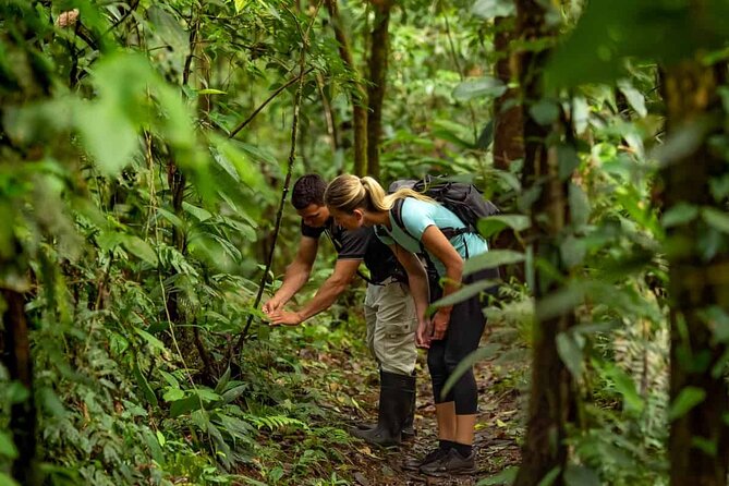 From Pokhara : Hiking to Peace Pagoda via Fewa Lake & Jungle - Private Groups, Fitness, and Who Will Enjoy It