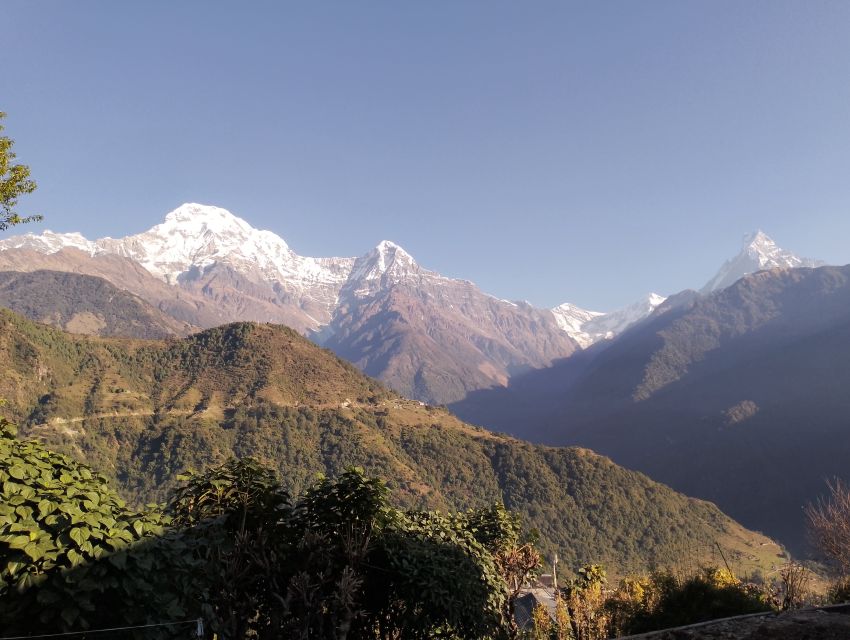 From Pokhara: Private 5-Day AnnapurnaBasecamp Trek - Key points at a glance