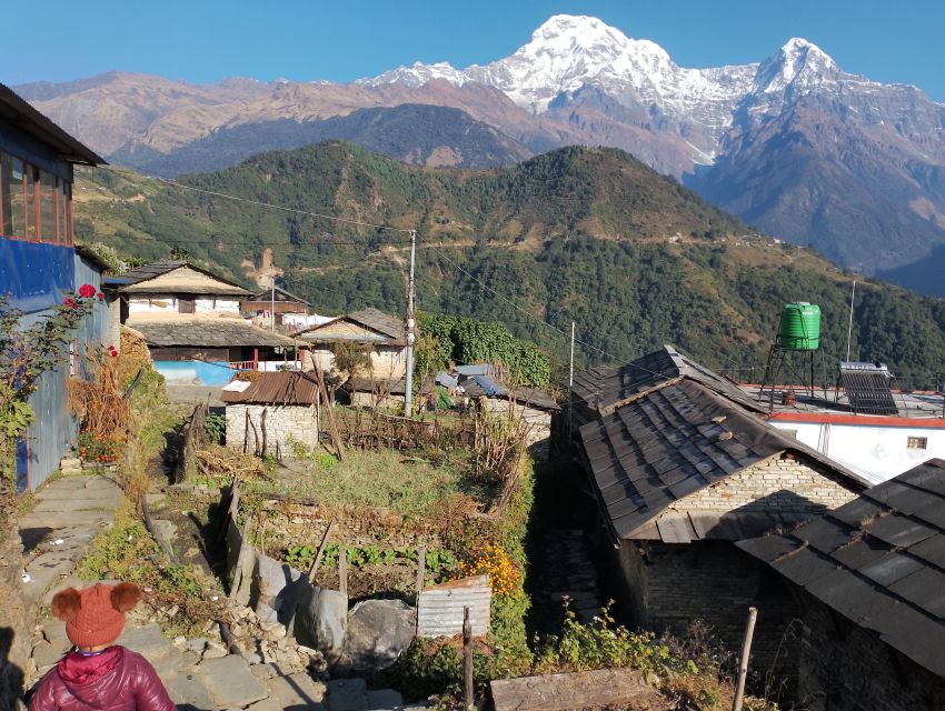 From Pokhara: Private 5-Day AnnapurnaBasecamp Trek - Day 2: Chhomrong to Himalaya, 2,900 meters
