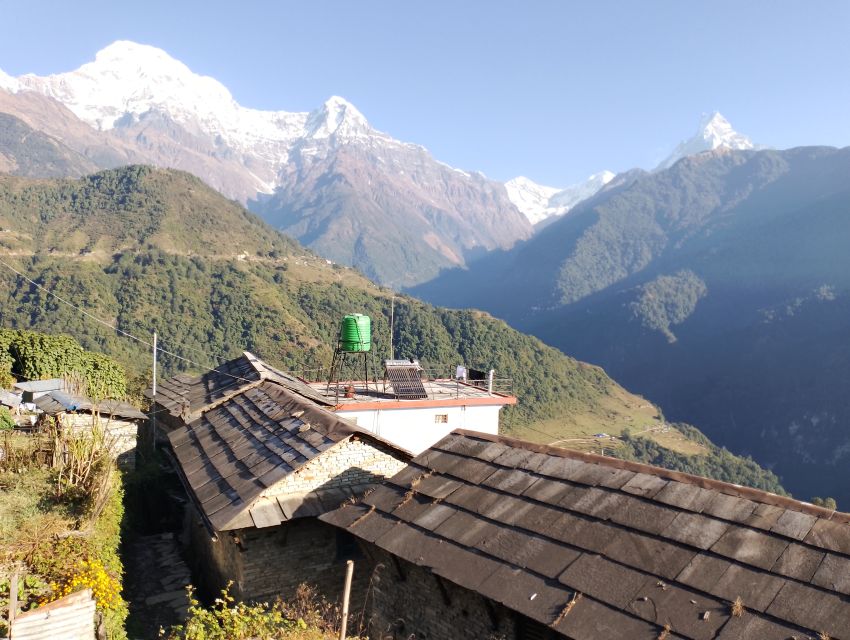 From Pokhara: Private 5-Day AnnapurnaBasecamp Trek - Day 3: Himalaya to Annapurna Base Camp, 4,130 meters