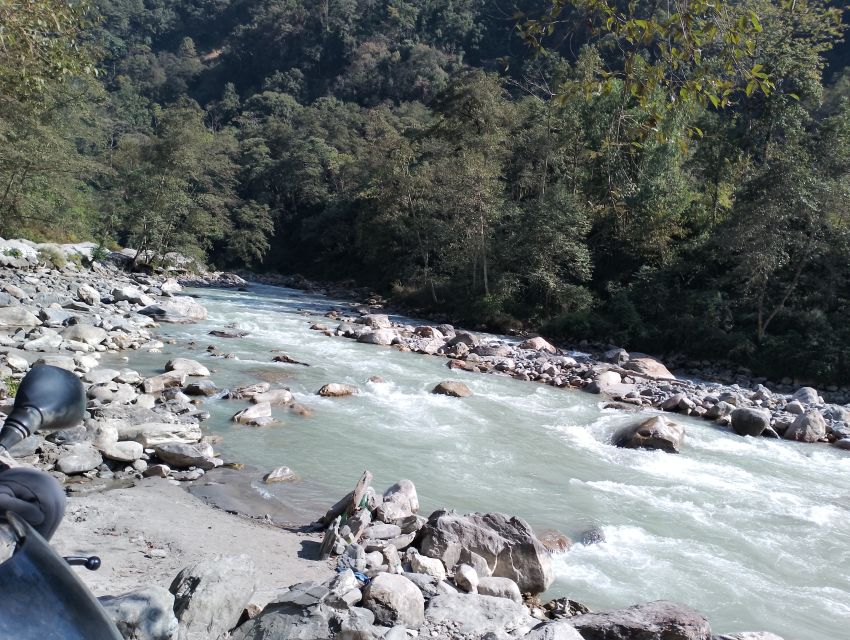 From Pokhara: Private 5-Day AnnapurnaBasecamp Trek - Day 5: Sinuwa to Pokhara through Jhinu Danda