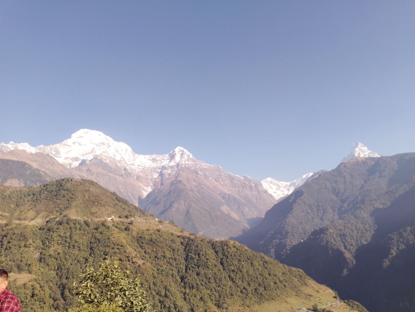 From Pokhara: Private 5-Day AnnapurnaBasecamp Trek - Seasons, weather, and physical demands