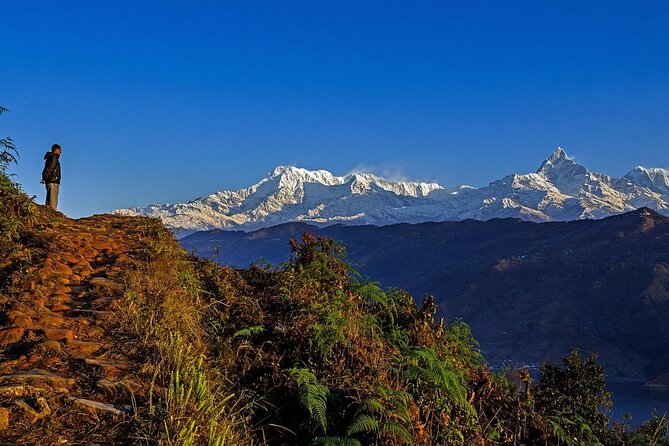 Full Day Car Drive to Explore Places of Interest of Pokhara - Key points to know before booking