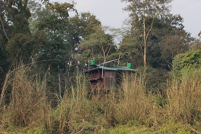 Full Day Jeep Safari in Chitwan National Park - A private vehicle and the value of guide Sanjay