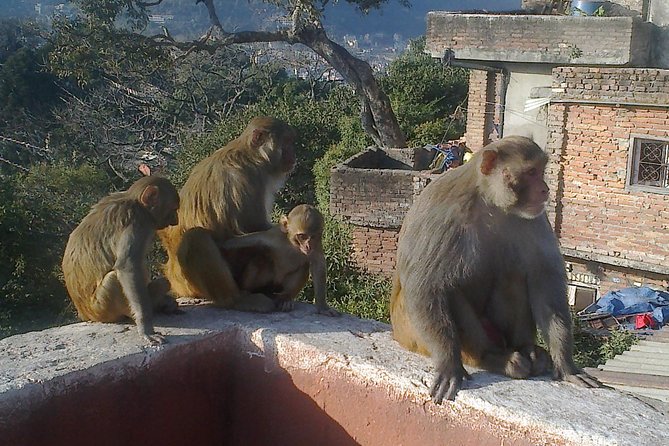 Full Day Kathmandu City Sightseeing Tour of UNESCO Heritage Sites - Timing, transport, and group comfort