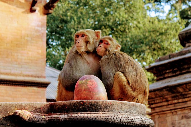 Full Day Private Tour of Kathmandu - UNESCO World Heritage Sites - Boudhanath: The white dome and Buddha’s eyes