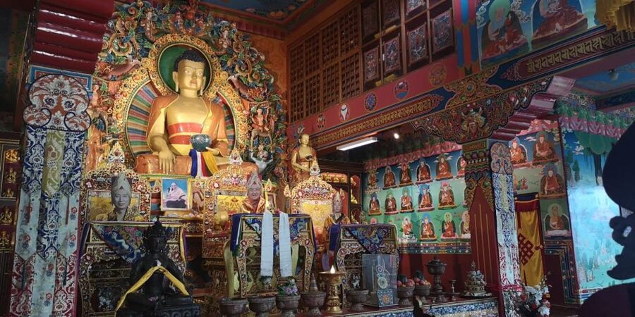 Full Day Tibetan Cultural Tour - Meeting a Tibetan doctor