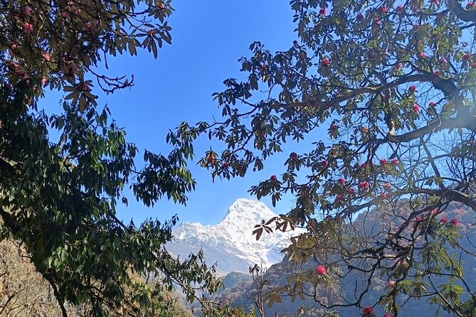 Ghorepani Poon Hill Trek: 12-Day Journey in Annapurna - What the $1,100 price really covers