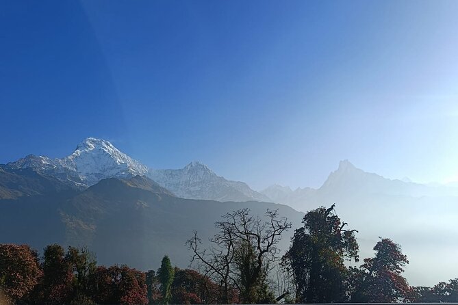 Ghorepani Poon Hill Trek: 12-Day Journey in Annapurna - Day 8: Poon Hill at sunrise