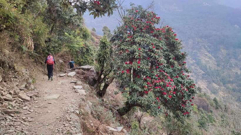 Ghorepani Poon Hill Trek - 4 Days (Full Package) - Mountain views, village life, and what you really see