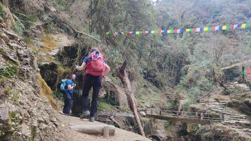 Ghorepani Poon Hill Trek - 4 Days (Full Package) - Guide support, group size, and practical comfort