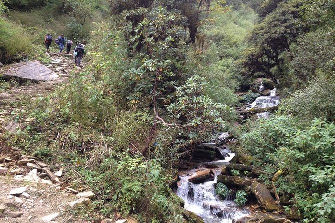 Ghorepani Poon Hill Trek - Forest paths beyond Ulleri