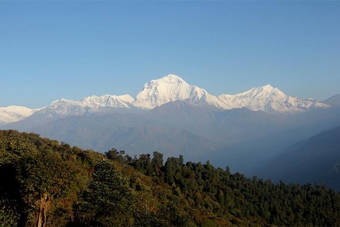 Ghorepani Poon Hill Trek - The early climb to Poon Hill