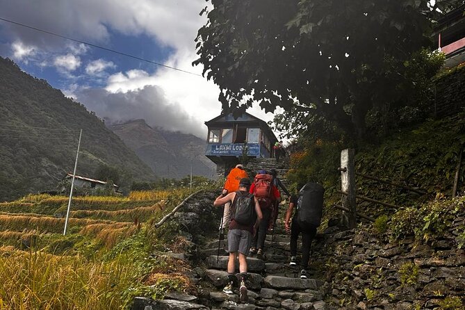 Ghorepani Poonhill Private Trek - 2 nights / 3 days - The climb toward Ghorepani