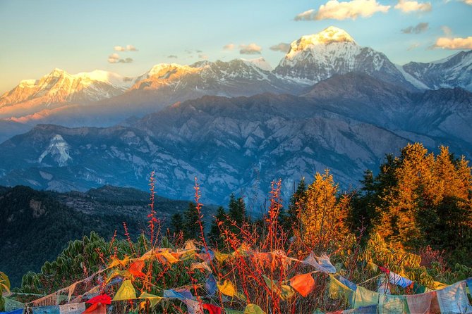 Ghorepani Poonhill Trek 5 Days from Pokhara - Day 4: Ghandruk and a closer look at village life