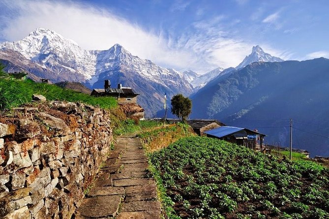 Ghorepani Poonhill Trek 5 Days from Pokhara - Day 1: Pokhara to Nayapul and the climb to Ulleri