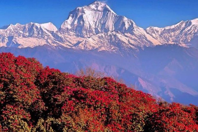 Ghorepani Poonhill Trek -8 Days - What this eight-day Nepal trip actually includes