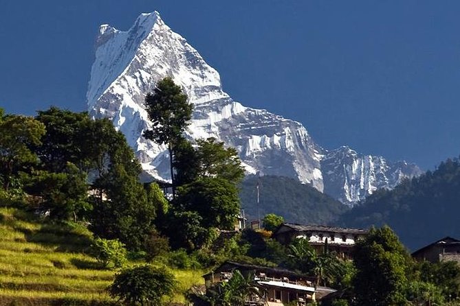 Ghorepani Poonhill Trek -8 Days - Day 4: Ulleri to Ghorepani through rhododendron forest