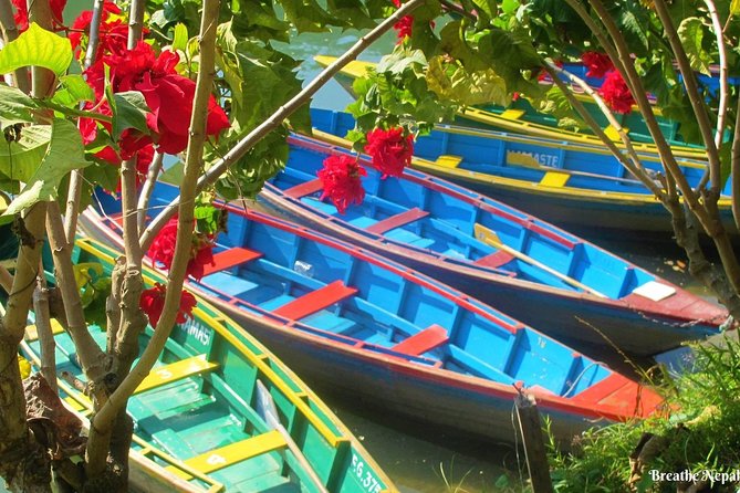 Half-Day Private Pokhara Tour - Who should choose this morning outing?