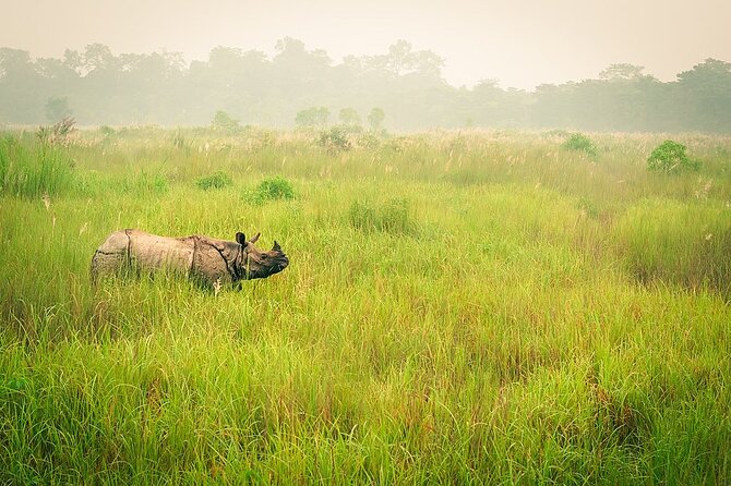 Half Day Sharing Jeep Safari in Chitwan National Park - Three habitats, three different ways to watch wildlife