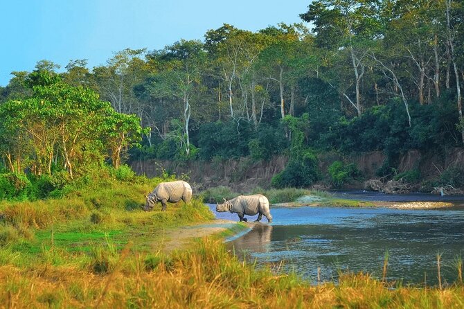 Half Day Sharing Jeep Safari in Chitwan National Park - Is $95 a fair price?