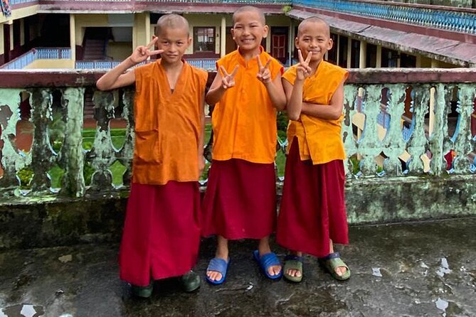 Half Day Tibetan Cultural tour Pokhara - Meeting a Tibetan doctor and trying pulse reading