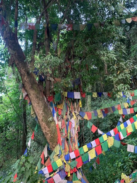 Healing Day tour - Shaman Healing - Returning to Thamel after a full day