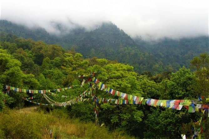 Jeep Safari in Nagarjun forest at Kathmandu - Who will enjoy this outing most