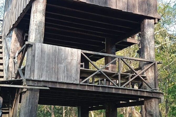 Jungle Tower Night Stay in Chitwan National Park 2 Nights 3 Days - The final morning and the 7:30 bus