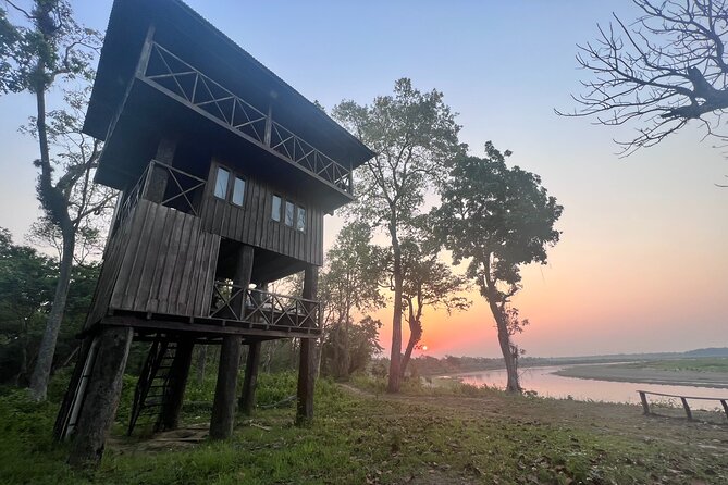 Jungle Towernight Stay: 4-Day Tour in Chitwan National Park - Why this Chitwan trip feels different