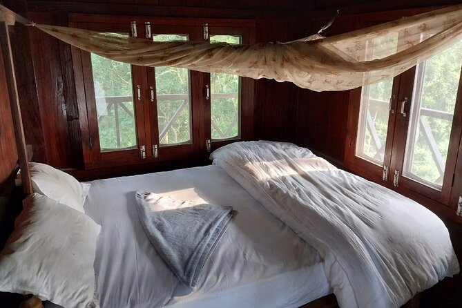 Jungle Towernight Stay: 4-Day Tour in Chitwan National Park - Day 3: jeep safari, cycling, and Tharu culture